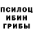 Псилоцибиновые грибы Psilocybine cubensis IzaiKA