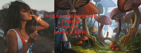 шишки Дмитров
