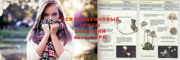 дживик Дмитриев