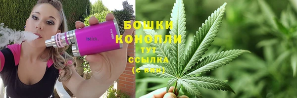 дживик Дмитриев