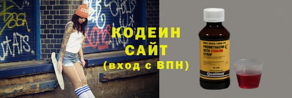 шишки Дмитров