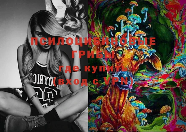 дживик Дмитриев