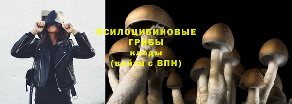 дживик Дмитриев
