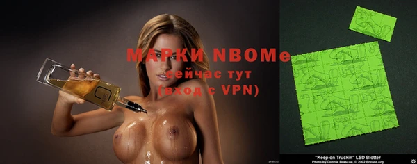 шишки Дмитров