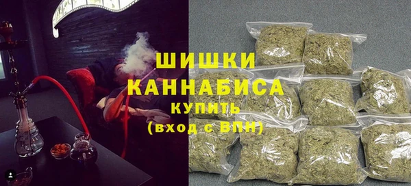 шишки Дмитров
