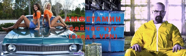 шишки Дмитров