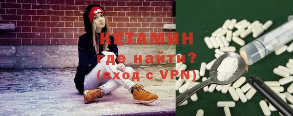шишки Дмитров